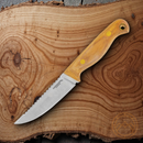 Condor Trelken Fixed Knife 3.5" 420HC Steel Sawback Full Blade Hickory Handle