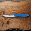 Henckels Zwilling Master Parer Kitchen Knife 4" Stainless Steel Blade Plastic