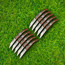 Okapi Big Sable Pocket Knife 10 PCs SET 3.75 Carbon Steel Blade Brown Resin Wood