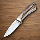 Muela Colibri Fixed Knife 2.88" 1.4116 Steel Blade Stag Handle