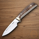 Muela Rebeco Fixed Knife 3.5" MoVa Steel Blade Stag Handle