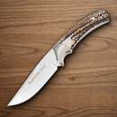 Muela Setter-11A Fixed Knife 4.25" MoVa Steel Blade Stag Bone Handle