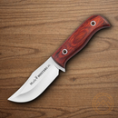 Muela Mustang Fixed Knife 3.25" X50CrMoV15 Steel Blade Sandalwood Handle