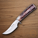 Muela DP-10A Fixed Knife 4" MoVa Steel Blade Stag Handle