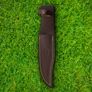 Muela Cazorla Fixed Knife 6.13" MoVa Steel Blade Olive Wood Handle
