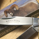 Rough Ryder Trapper Pocket Knife Stainless Steel Blades Ram's Horn Handle