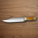 Rough Ryder Mini Cajun Fixed Knife 2.88 "Stainless Steel Blade Natural Smooth Bone Handle