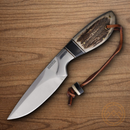 Rough Ryder Skinner Fixed Knife 3.75" Stainless Steel Blade Stag Bone Handle.