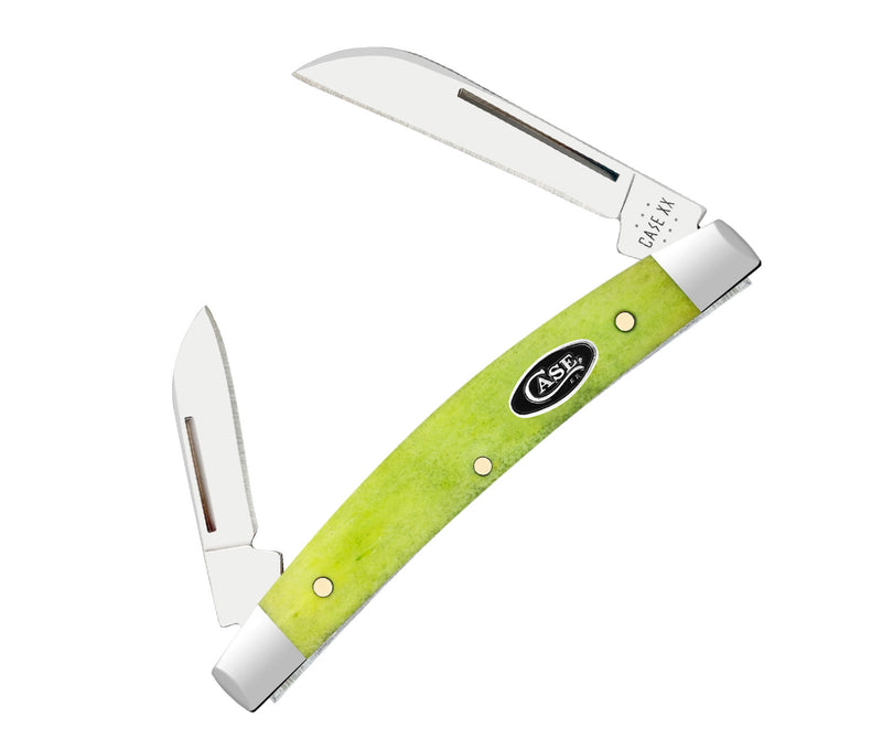 Case XX Small Congress Pocket Knife Tru-Sharp Surgical Steel Sheepsfoot Blades Green Apple Smooth Bone Handle 53032 -Case Cutlery - Survivor Hand Precision Knives & Outdoor Gear Store
