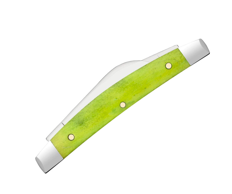 Case XX Small Congress Pocket Knife Tru-Sharp Surgical Steel Sheepsfoot Blades Green Apple Smooth Bone Handle 53032 -Case Cutlery - Survivor Hand Precision Knives & Outdoor Gear Store