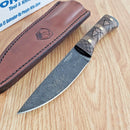 Condor Lost Roman Fixed Knife 4.88" Classic 1075HC Steel Blade Walnut Handle
