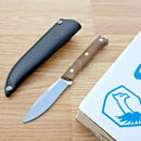 Condor Scotia Fixed Knife 3.5" 1095HC Steel Full Tang Blade Walnut Handle 102355