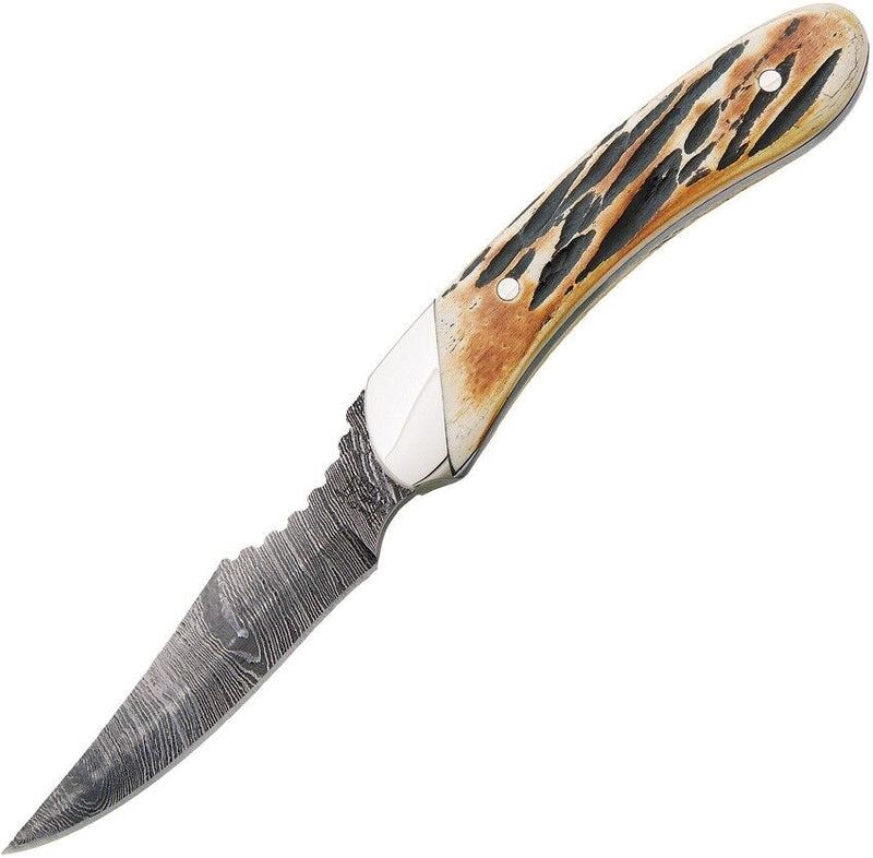 Bear & Son Caper Fixed Knife 3" Damascus Steel Clip Point / Full Tang Blade India Stag Bone Handle 5009D -Bear & Son - Survivor Hand Precision Knives & Outdoor Gear Store