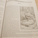 The Trappers Bible Book Most Complete Guide Hunting Tips Personal Stories Photos