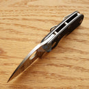 Spyderco Chicago Linerlock Folding Knife 2" CTS-BD1 Steel Blade Black G10 Handle