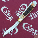 Case XX Cutlery Mini Trapper Pocket Knife Stainless Blades Amber Bone Handle