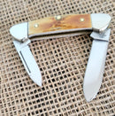 Case XX Cutlery Baby Butterbean Pocket Knife Stainless Steel Blades Stag Handle