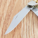 Case XX Cutlery Penaut Pocket Knife Stainless Steel Blades Amber Bone Handle