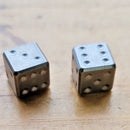 LionSTEEL Set of Two Steel Dice Comes In Acorn-Sized Steel Keychain Container