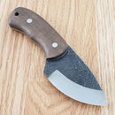 Condor Beetle Neck Fixed Knife 2.63" Full Tang 1095HC Steel Blade Walnut Handle