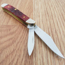 Case XX Cutlery My First Peanut Old Pocket Knife Stainless Blades Red Bone Handle