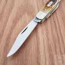 Case XX Cutlery Small Texas Jack Pocket Knife Chrome Vanadium Blades Bone Handle 00077