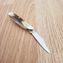 Case XX Cutlery Peanut Pocket Knife Stainless Steel Blades Red Stag handle 09443
