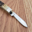 Case XX Cutlery Small Pocket Knife Stainless Steel Blades Genuine Stag Handle 00088