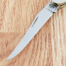 Case XX Small Texas Toothpick Folding Knife 2.25" Surgical Steel Blade Blue Bone Handle 02804