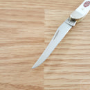 Case XX Tiny Toothpick Sparxx Folding Knife 2.25" Stainless Blade Synthetic Handle 60180