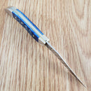 Case XX Small Texas Toothpick Folding Knife 2.25" Surgical Steel Blade Blue Bone Handle 02804