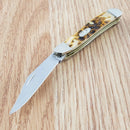 Case XX Cutlery Penaut Pocket Knife Stainless Steel Blades Amber Bone Handle