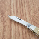 Case XX Cutlery Small Pocket Knife Stainless Steel Blades Genuine Stag Handle 00088