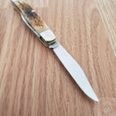 Case XX Cutlery Small Texas Jack Pocket Knife Chrome Vanadium Blades Bone Handle 00077