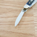 Case XX Peanut Pocket Knife Surgical Steel Blades Navy Blue Jigged Bone Handle