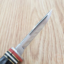 Case XX Hunter Fixed Knife 3.13" Stainless Steel Blade Buffalo Horn Handle