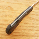 Case XX Mini Blackhorn Lockback Folding Knife Stainless Steel Blade Zytel Handle