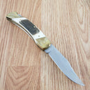 Schrade Lockback Folding Knife 3.75" Satin Stainless Steel Blade Stag Handle