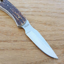 Schrade Uncle Henry Fixed Knife 2.75" Stainless Steel Blade Delrin Stag Handle
