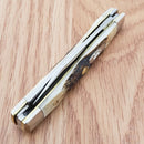 Case XX Cutlery Small Pocket Knife Stainless Steel Blades Genuine Stag Handle 00088