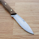 Condor Scotia Fixed Knife 3.5" 1095HC Steel Full Tang Blade Walnut Handle 102355