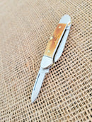Case XX Cutlery Baby Butterbean Pocket Knife Stainless Steel Blades Stag Handle
