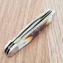 Case XX Cutlery Peanut Pocket Knife Stainless Steel Blades Red Stag handle 09443