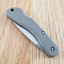 Case XX BSA Mini Blackhorn Folding Knife 2.25" Stainless Blade Lightweight Zytel Handle 8033