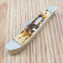 Case XX Cutlery Penaut Pocket Knife Stainless Steel Blades Amber Bone Handle