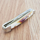 Case XX Cutlery Peanut Pocket Knife Stainless Steel Blades Red Stag handle 09443