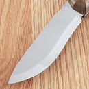 BPS Knives Compact Hunting Fixed Knife 4.25" Scandi Grind 5Cr14MoV Steel Full Tang Blade Walnut Handle