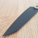 CJRB Silax Fixed Knife 5.11" AR-RPM9 Steel Wharncliffe Blade Beige G10 Handle
