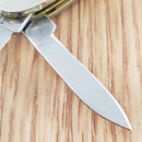 Case XX Cutlery Penaut Pocket Knife Stainless Steel Blades Amber Bone Handle