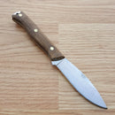 Condor Scotia Fixed Knife 3.5" 1095HC Steel Full Tang Blade Walnut Handle 102355